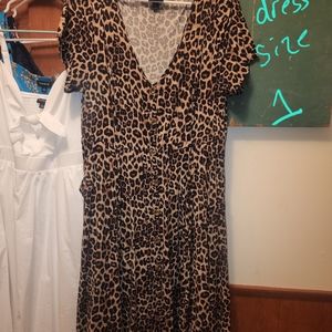 Ladies plus size dress